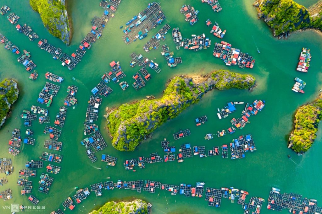 Ha Long Bay — photo 6
