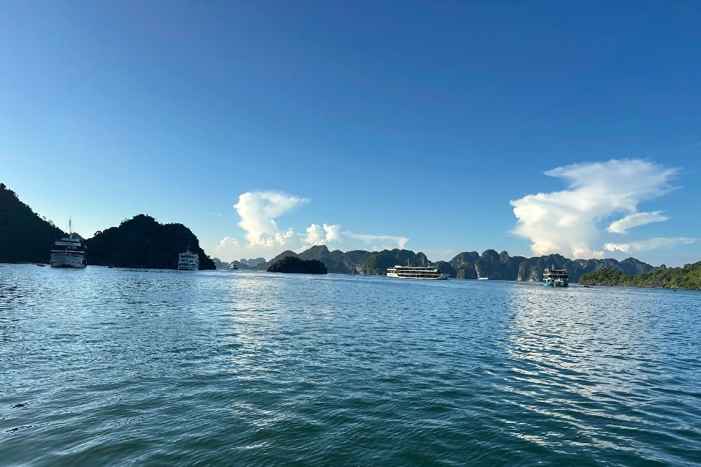 Cycad Cruise Halong Bay photo 3